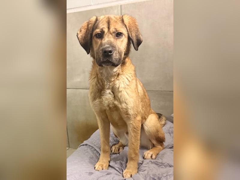 Luca: wer hat Lust, ihm das Leben zu zeigen?