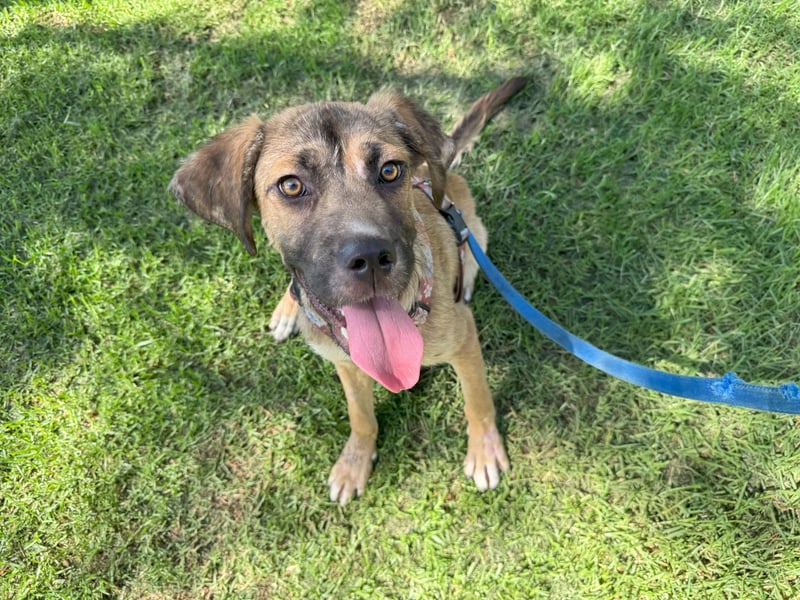 Luca: wer hat Lust, ihm das Leben zu zeigen?