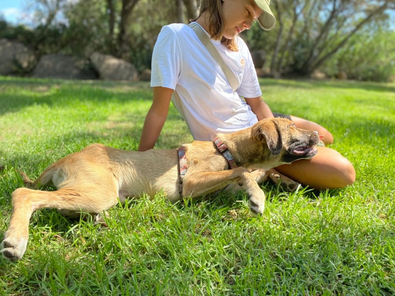 Luca: wer hat Lust, ihm das Leben zu zeigen?