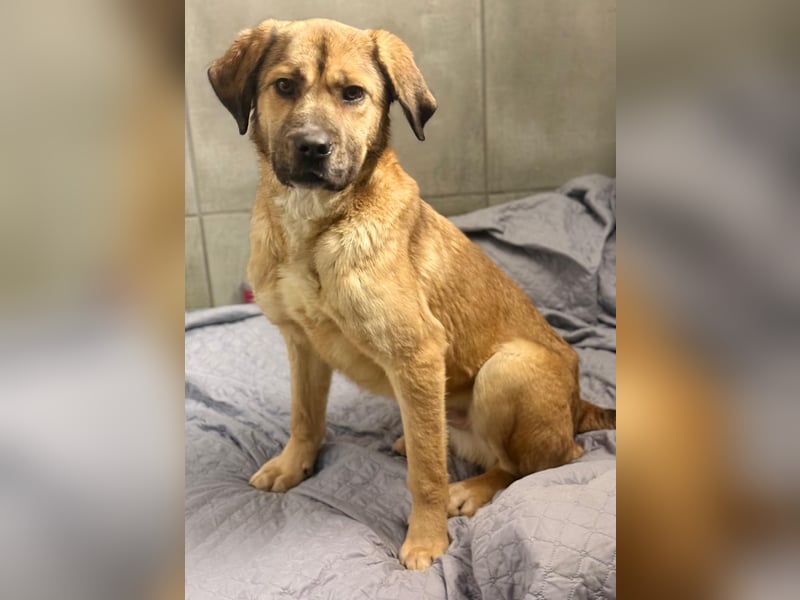 Luca: wer hat Lust, ihm das Leben zu zeigen?