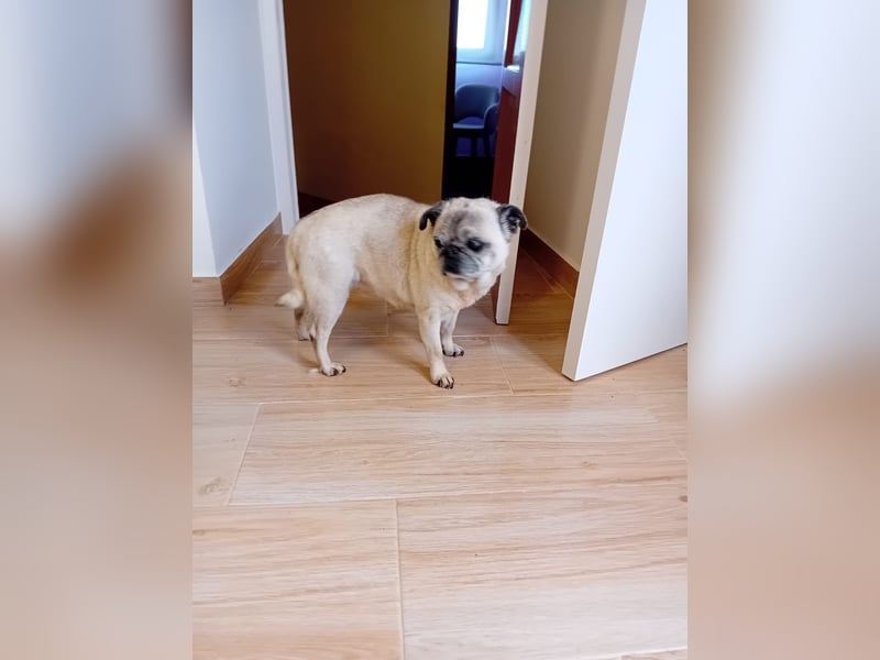 Zeigen Sie Rosita noch ein paar altersgerechte Abenteuer?