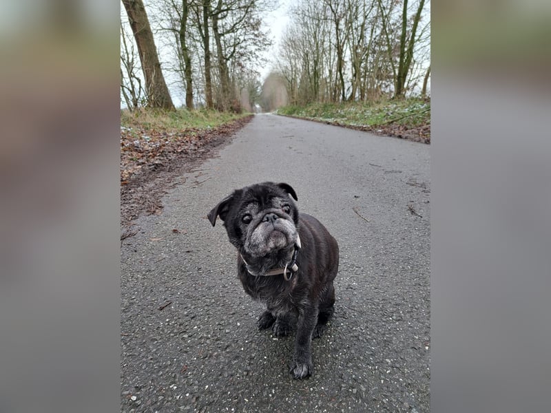 Lilly - ist zu allen Menschen freundlich