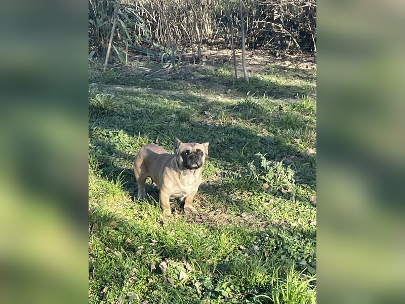 kleiner Schatz Elza sucht Zuhause