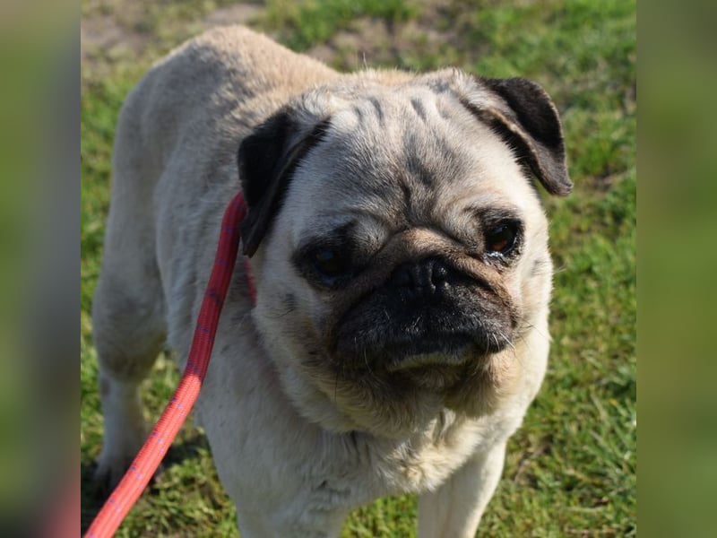 Etti - kleine Kämpferin mit großem Herz