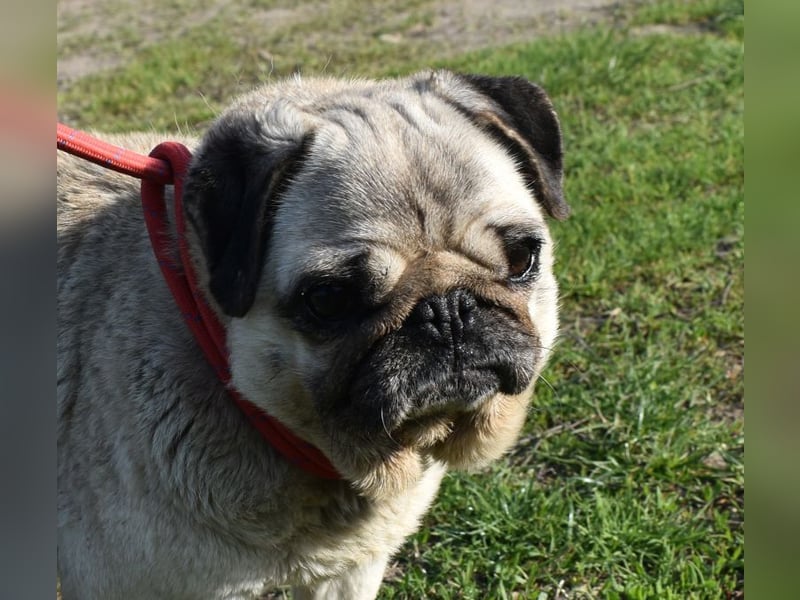 Etti - kleine Kämpferin mit großem Herz