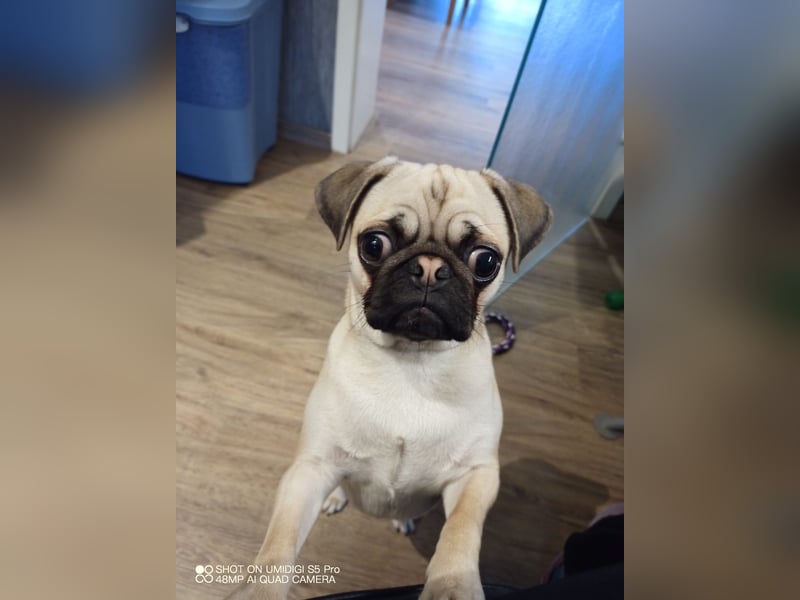 Dusja such neues Zuhause