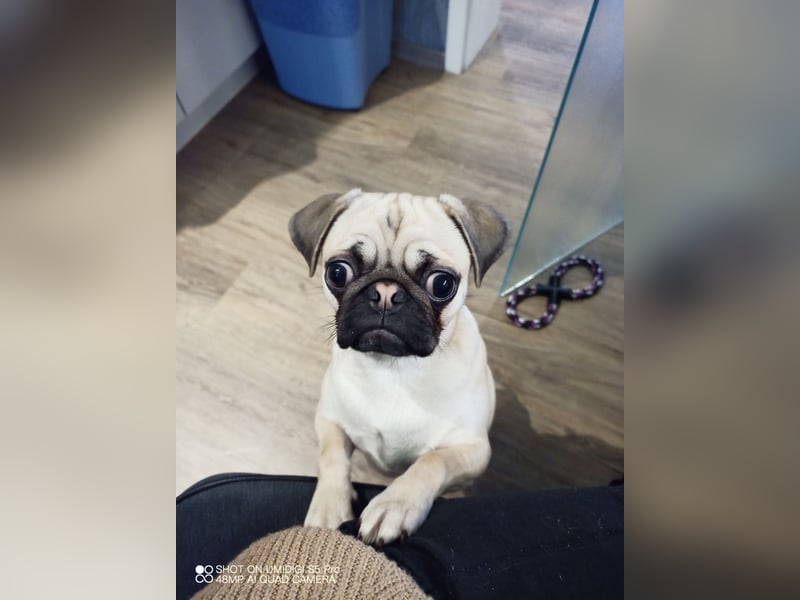 Dusja such neues Zuhause