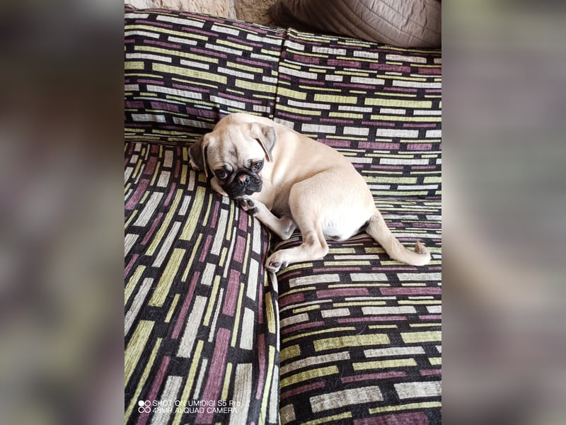 Dusja such neues Zuhause