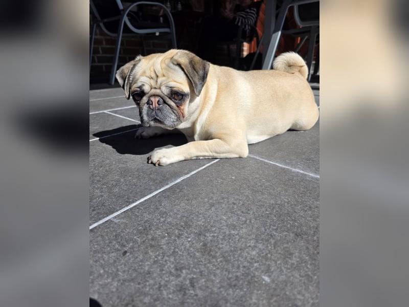 Dusja such neues Zuhause