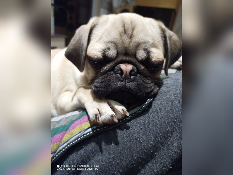 Dusja such neues Zuhause