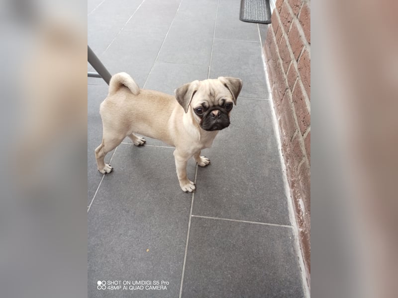 Dusja such neues Zuhause