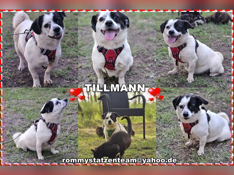 Tillmann sucht einfühlsame Menschen