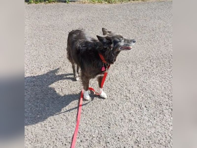 Klotild