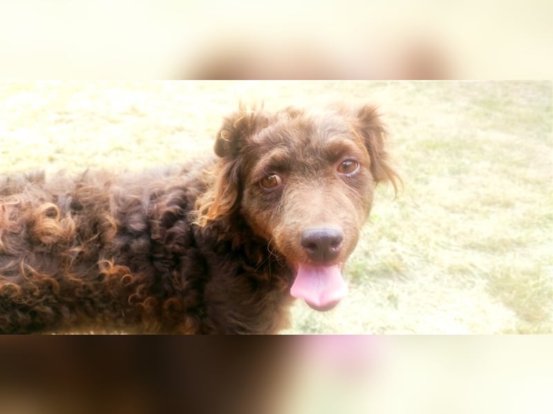 Frida-LM, süße Frida sucht Familie zum Spielen