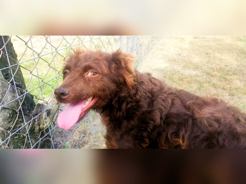 Frida-LM, süße Frida sucht Familie zum Spielen