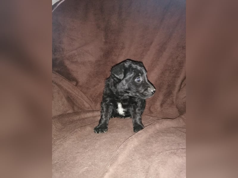Sidney, Black Baby freut sich auf Dich!