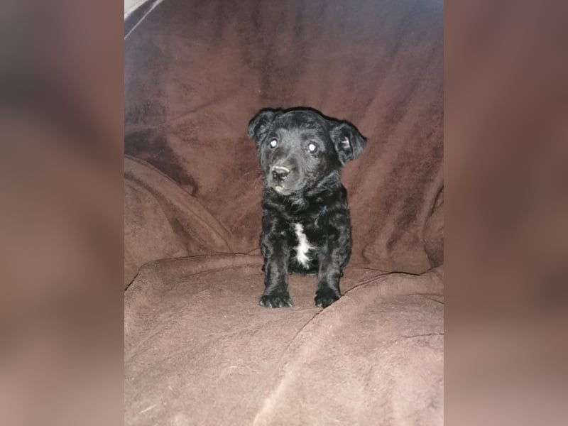 Sidney, Black Baby freut sich auf Dich!