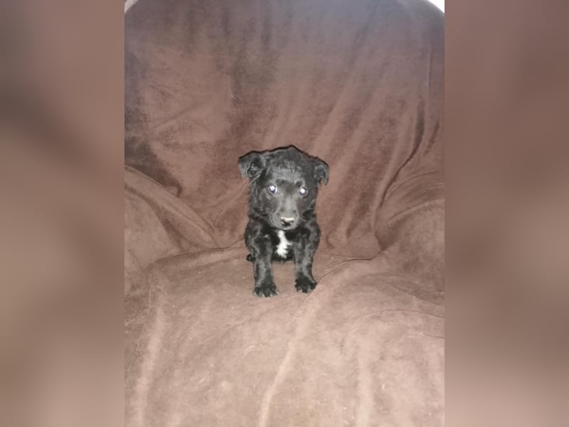 Sidney, Black Baby freut sich auf Dich!