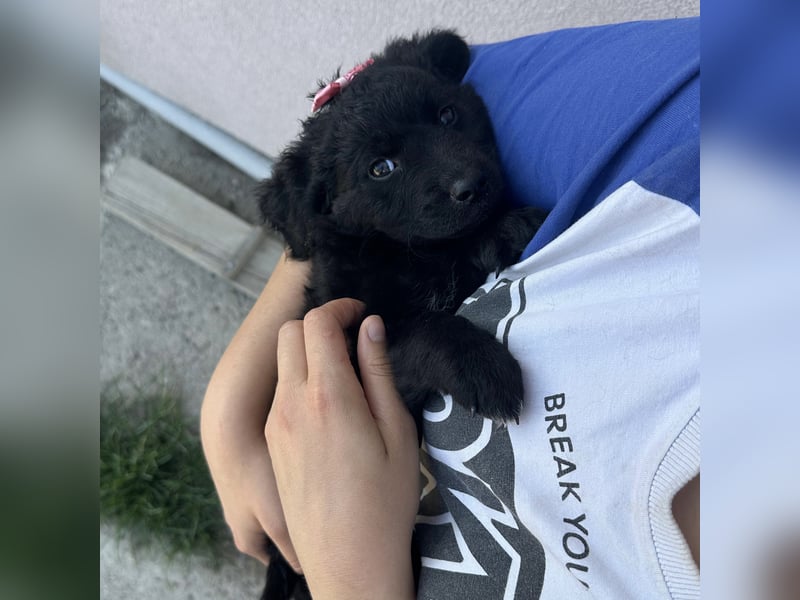 Luma eine winzige Prinzessin