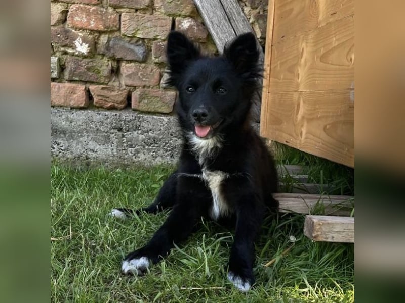 Pia eine kleine zuckersüße Lady
