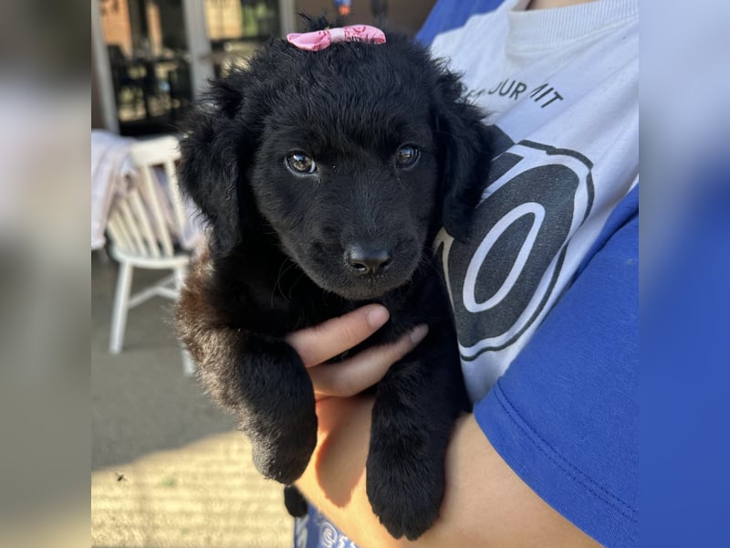 Luma eine winzige Prinzessin