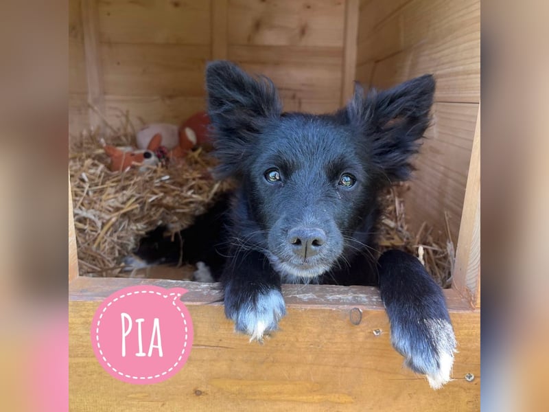 Pia eine kleine zuckersüße Lady