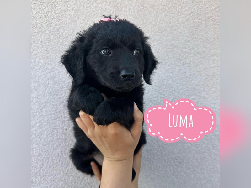 Luma eine winzige Prinzessin