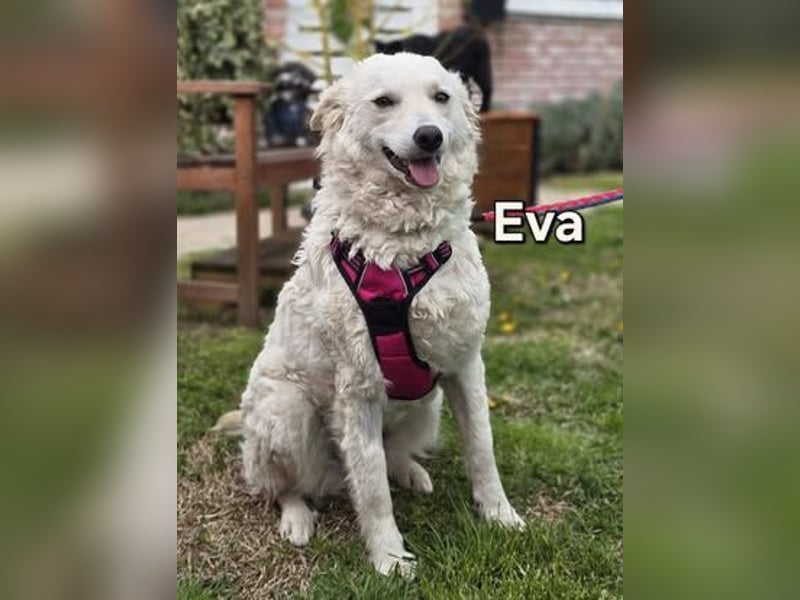 Eva ♥️