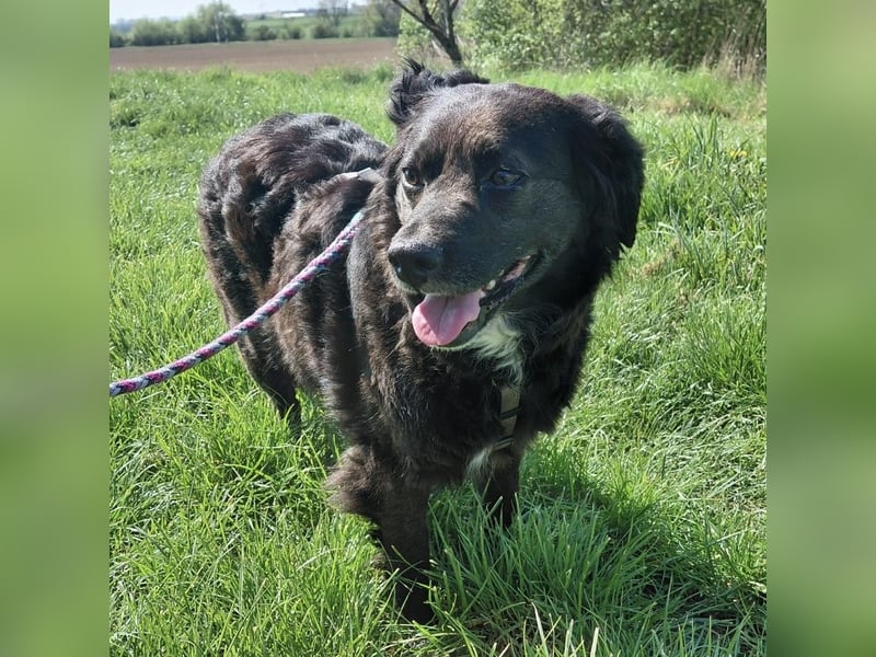 Luna ein sehr gutmütiges liebes Mädchen