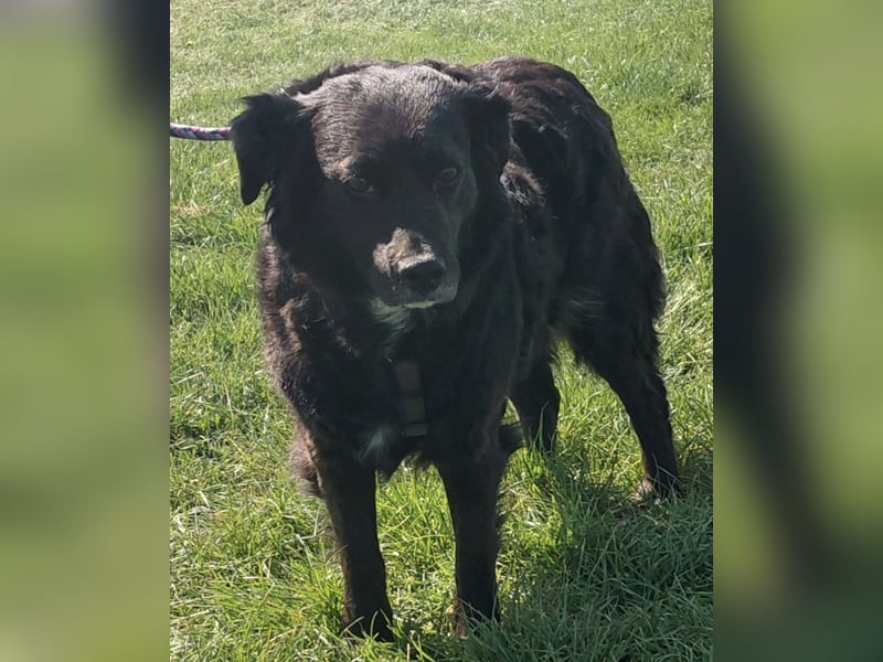 Luna ein sehr gutmütiges liebes Mädchen