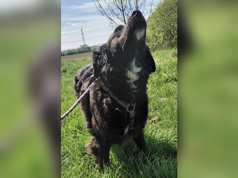 Luna ein sehr gutmütiges liebes Mädchen