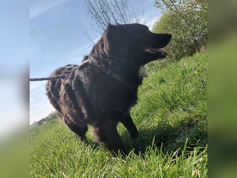 Luna ein sehr gutmütiges liebes Mädchen