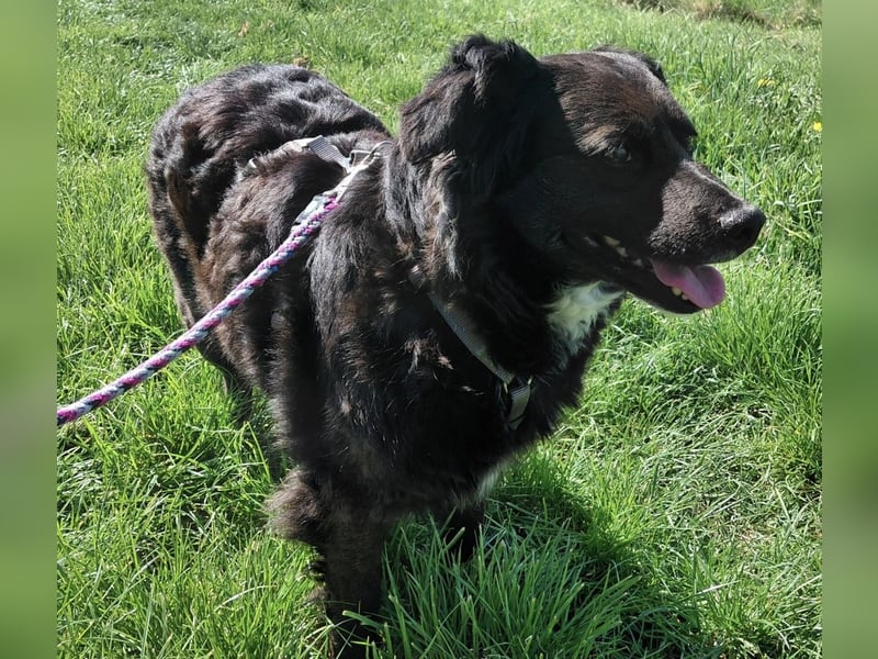 Luna ein sehr gutmütiges liebes Mädchen