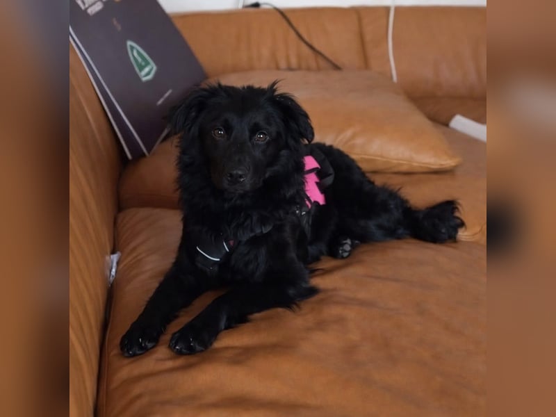 Asia kann in 36110 Schlitz kennengelernt werden