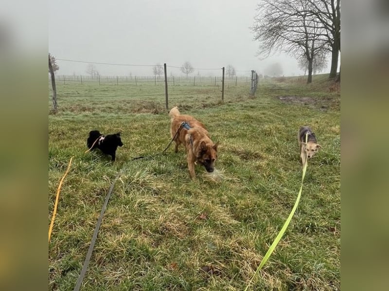 Asia kann in 36110 Schlitz kennengelernt werden