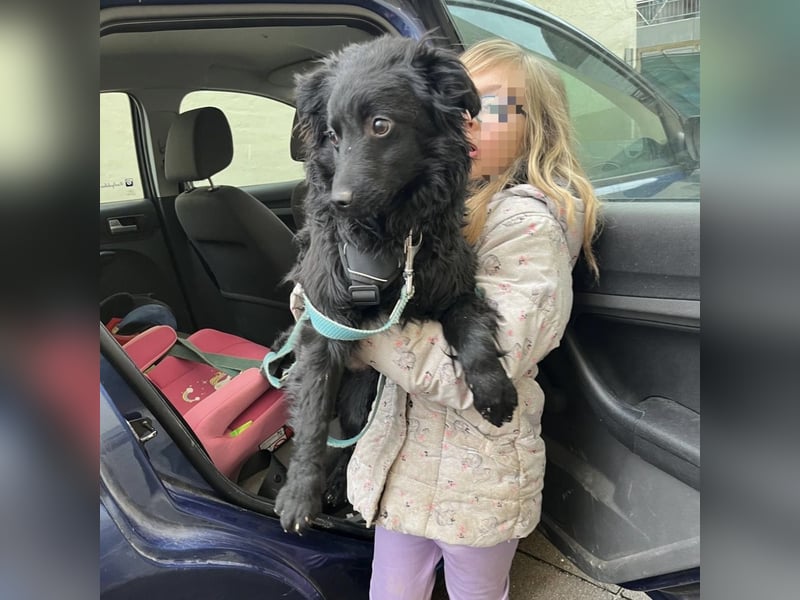 Wunderschöne brave Asia wartet in Weinheim