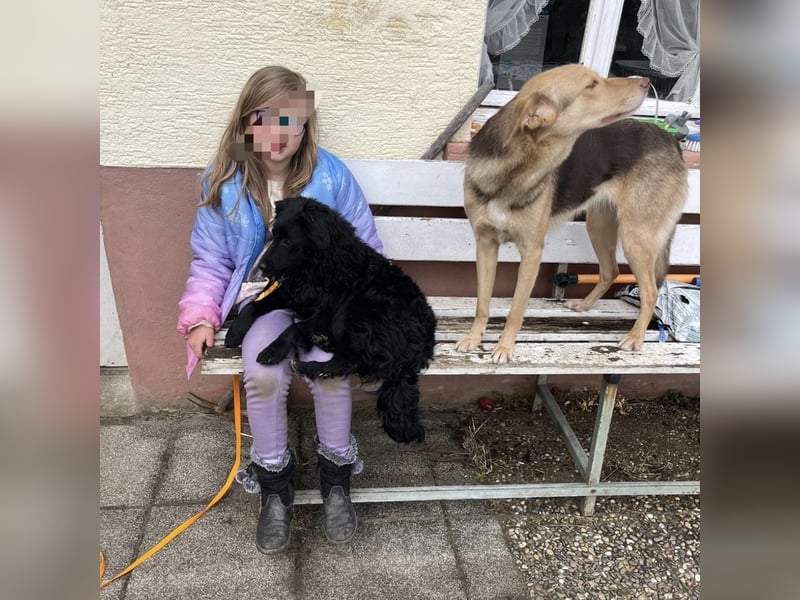 Wunderschöne brave Asia wartet in Weinheim