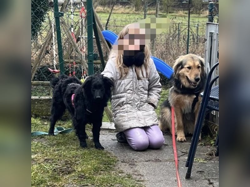 Wunderschöne brave Asia wartet in Weinheim