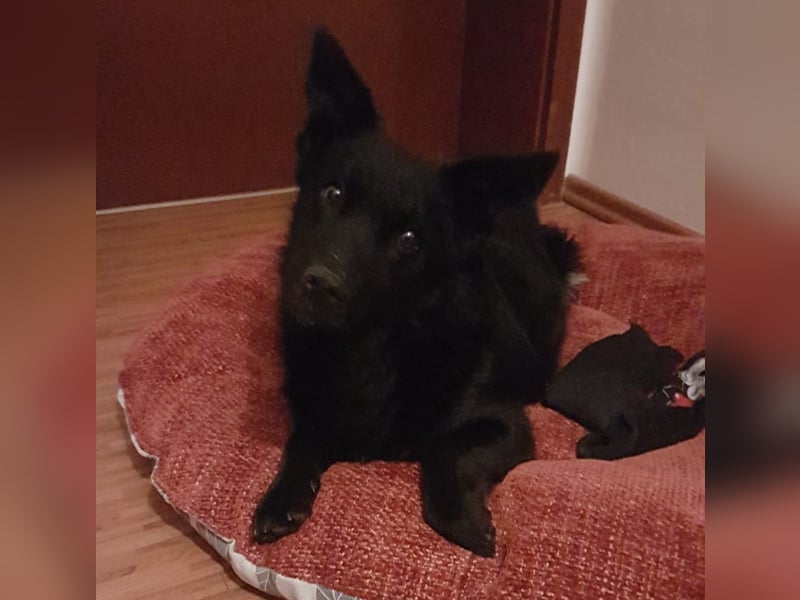 Pia die Allerliebste