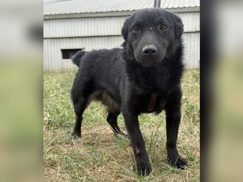 Pia die Allerliebste