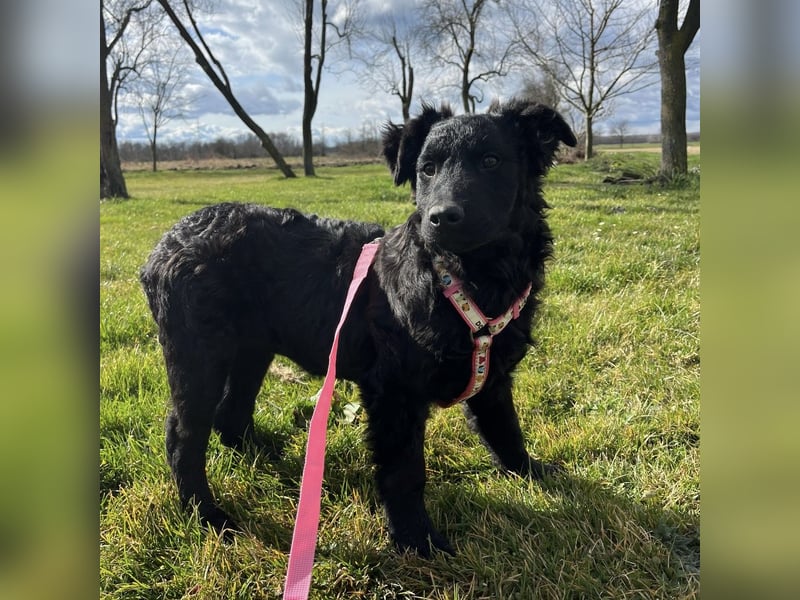 Lia ein kleiner Schatz