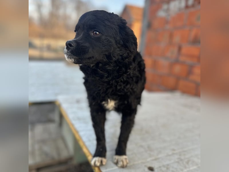 Milena eine kleine Zuckerschnute