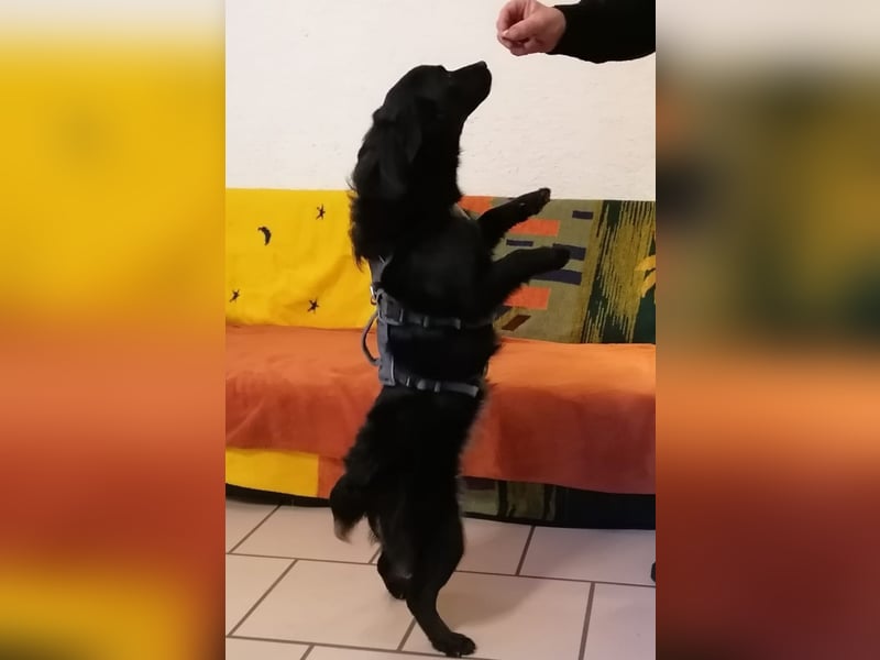 Pia die Allerliebste