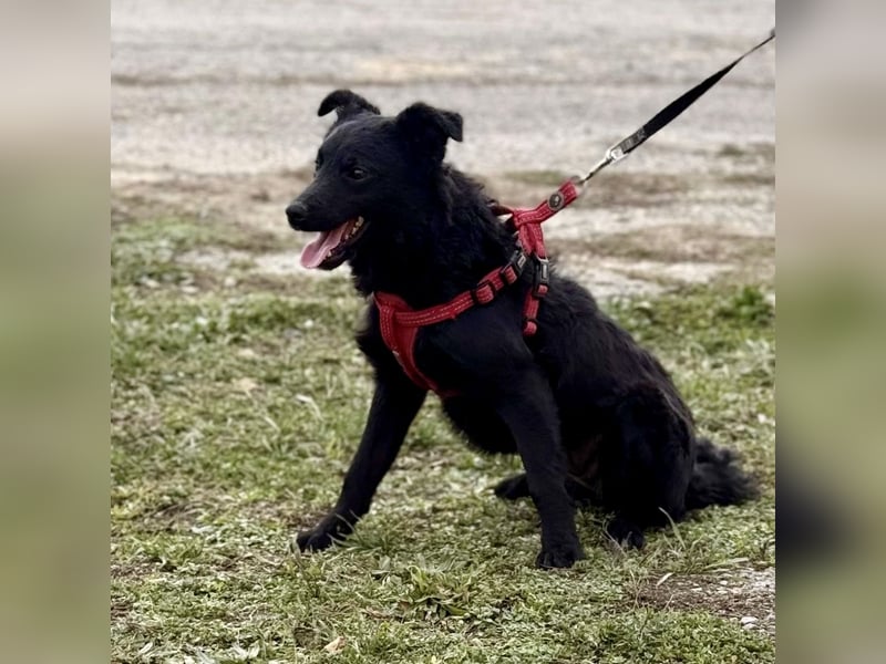 Aska ein verspieltes selbstbewusstes Mädchen