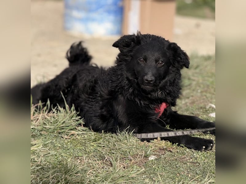 Asia die wundervolle fröhliche