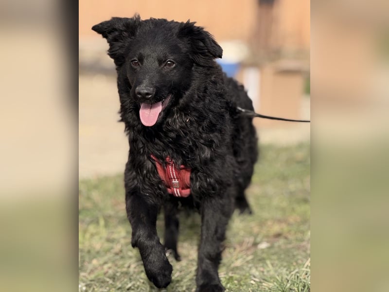 Asia die wundervolle fröhliche