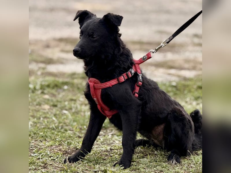 Aska ein verspieltes selbstbewusstes Mädchen
