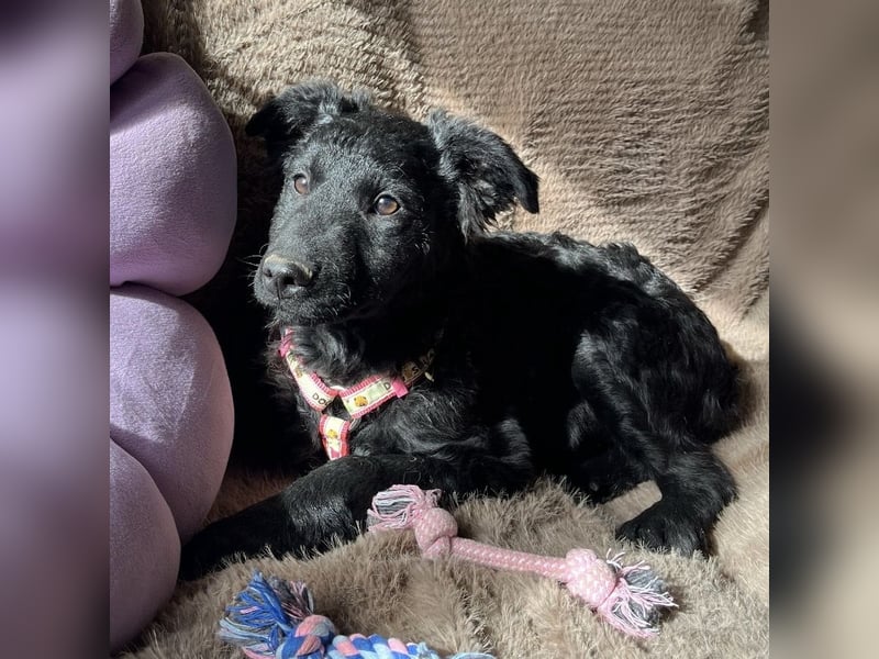 Lia ein kleiner Schatz