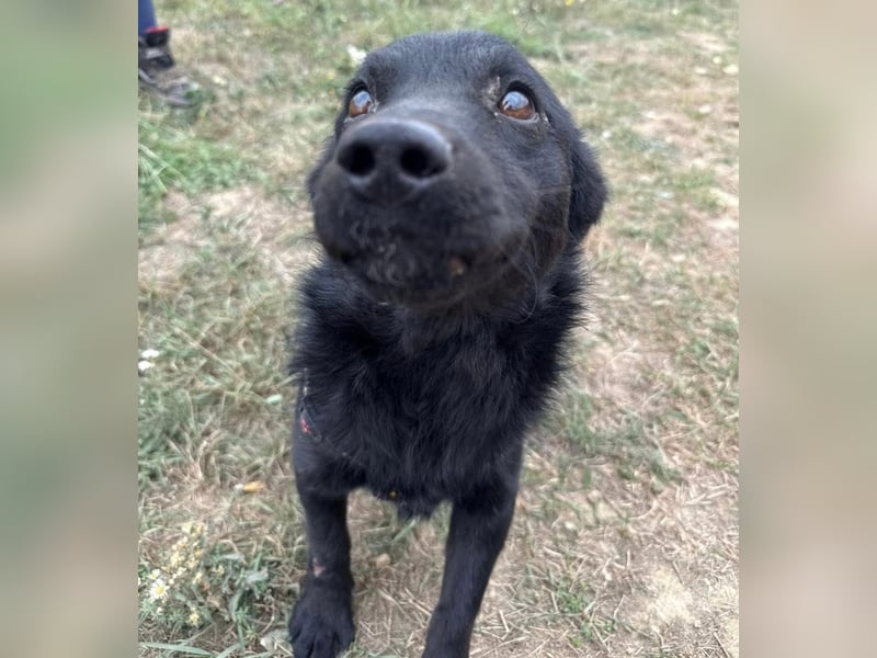 Pia die Allerliebste