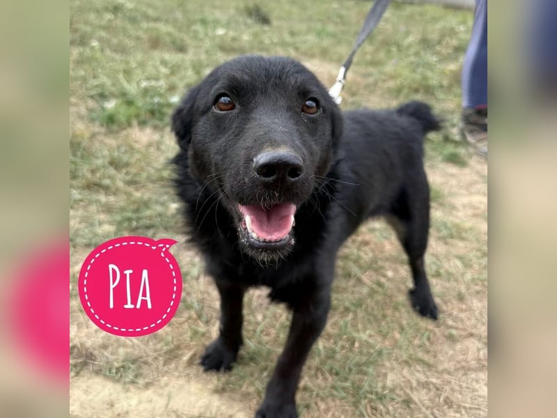 Pia die Allerliebste